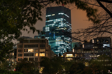 Tokyo at night