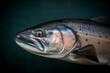 Chinook salmon fish with silver scales. Very fresh seafood. generative AI