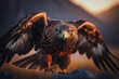 Steppe eagle flies