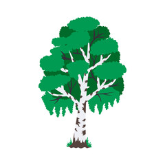 Sticker - Flat Birch Illustration