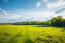 Fantastic Rural Area With Fresh Green Pasture And Blue Sky On A Sunny Day.