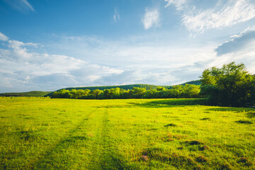 Photo Sur Toile - Fantastic rural area with fresh green pasture and blue sky on a sunny day.