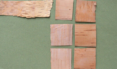 Wall Mural - birch bark shapes on paper