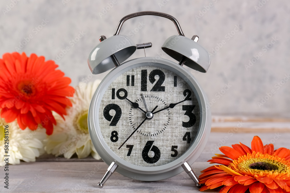 Alarm clock and beautiful gerbera flowers on grey grunge background