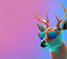 Creative Animal Composition. Deer Doe Wearing Shades Sunglass Eyeglass Isolated. Pastel Gradient Background. With Text Copy Space