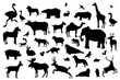 vector collection of many animal silhouettes