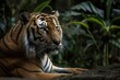 Picture of a Malayan Tiger (Panthera Tigris Tigris) Resting in Zoo Negara, Kuala Lumpur, Malaysia, 9 November 2019. Generative AI