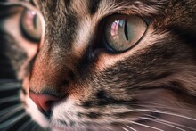 Close Up Of A Small Tabby Cat's Pink Nose Adorable Cat Nose. Generative AI