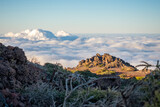 Fototapeta Perspektywa 3d - View of the cliffs and inversion clouds on Roque de los Muchachos mountain. Canary Islands, Spain