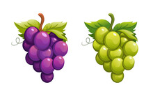 Grape Purple And Green Color Set Cartoon Illustration Vector