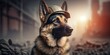  German Shepherd dog in construction with safe helmet, bokeh construction background by ai generative