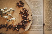 Coffee Beans On Wooden Background And Spring And Books And Catkins, Pussy Willow