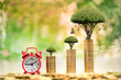 © Watchara - Stacked gold coins and money bag of tree with growing interest on the top and red clock with time put on the desk in the public park, Business investment and loans for real estate concept.