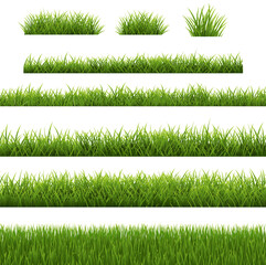 Wall Mural - Grass Border Set And White Background