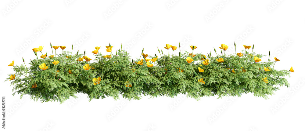 Flower isolated on white background Stock Illustration | Adobe Stock