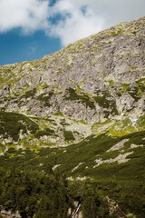 Wall Mural - Nature scenic landscapes, Polish mountains and rocks and forests