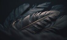  A Close Up Of A Black Feather With A Gold Tip On A Black Background With A Few Other Feathers Scattered Around It, Including One Of The Feathers.  Generative Ai