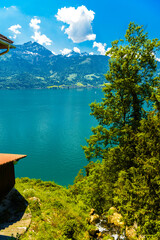 Wall Mural - Lake Thun, trees and mountains, Thunersee Bern Switzerland