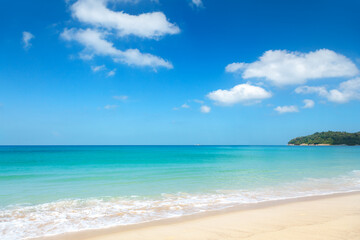 Wall Mural - The beach