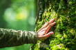 © shaploff - A man's hand touch the tree trunk close-up. Bark wood.Caring for the environment. The ecology concept of saving the world and love nature by human
