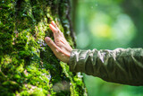 A man's hand touch the tree trunk close-up. Bark wood.Caring for the environment. The ecology concept of saving the world and love nature by human