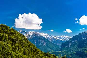 Wall Mural - Mountains covered with forest, Brienz, Interlaken-Oberhasli, Bern Switzerland