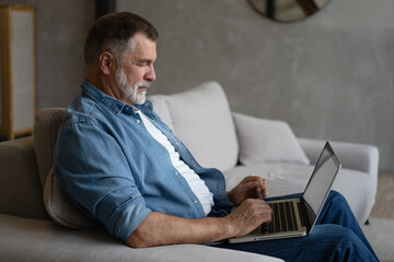 Wall Mural - Senior man in casual clothing using laptop and smiling while sitting on the sofa, working from home.
