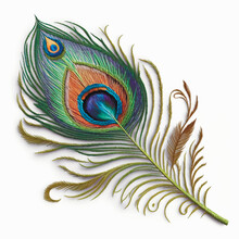 Ornamental Tapestry Colorful Peacock Feather. Embroidery Style Textured Bright Feather. Decorative Beautiful Design. Ornate Surface Stitch Texture. White Background. Vector Illustration