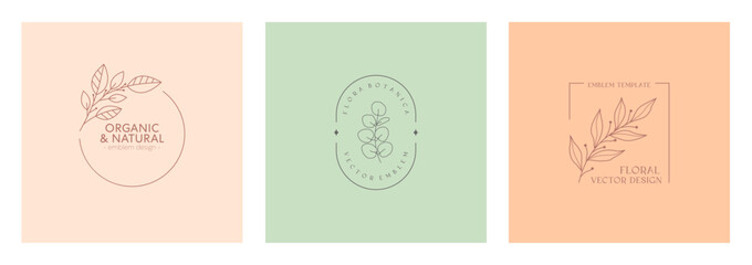 Wall Mural - vector floral organic emblems.natural logo designs with linear eucalyptus branch and frames.modern e