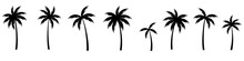 Difference Of Palm Tree Black Bundle Set Isolated On White.