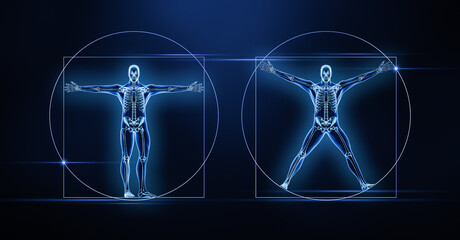 Wall Mural - two anterior or front views of the human male body and skeleton xray 3d rendering illustration on bl