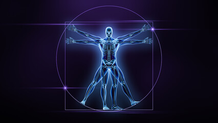 anterior or front view of the human male body and bones xray 3d rendering illustration. skeleton or 