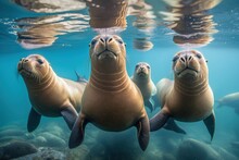 Playful Gathering: A Group Of Sea Lions Enjoying Life. Generative AI