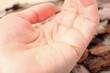 Woman with splinter in her hand outdoors, closeup