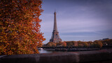 Fototapeta Fototapety Paryż - Wieża Eiffla i drzewo 