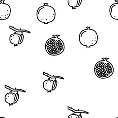 Poster - pomegranate fruit nature organic vector seamless pattern