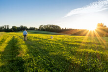 Active Senior Man Walking With Dog In Field At Sunset