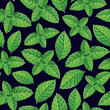 Vector seamless pattern with fresh mint leaves