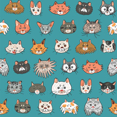 Wall Mural - Cat funny animal face vector seamless pattern.