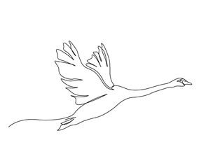 Wall Mural - Continuous one line drawing of flying swan. Simple mute swan outline vector illustration.