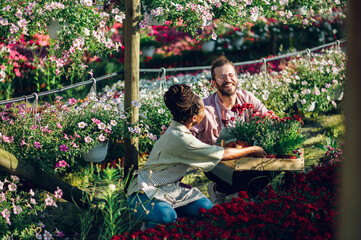 Wall Mural - Multiracial couple of gardeners working in a greenhouse