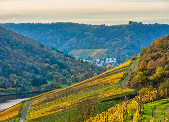 Wall Mural - Muden village steep vineyards on the sunny side of the Moselle valley and Treis-Karden in the background in Cochem-Zell district, Germany