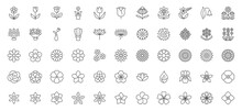 Flowers Line Icons Set. Blooming Plants - Rose, Tulip, Daisy Bouquet, Sunflower, Lotus, Chamomile, Dandelion, Chrysanthemum, Lily Vector Illustration. Outline Signs For Floral Shop. Editable Stroke