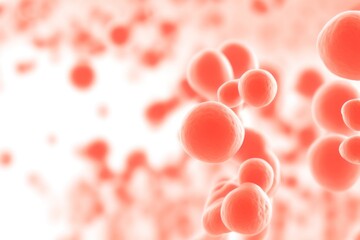 Wall Mural - macro streaming red blood cells on white background, biology and research
