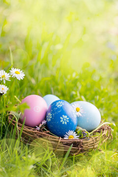 Fototapete - Nest with Easter eggs in grass on a sunny spring day - Easter decoration, background  -  Copy space
