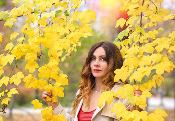 Banner with a portrait of a beautiful brunette looking at the camera on a background of autumn yellow foliage. Autumn concept