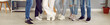 Leinwandbild Motiv Group of different young people in casual clothes, in blue jeans, white pants and sneakers standing in office or classroom. Low section crop shot of human feet. Shoe fashion banner, header background