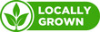Locally grown flat stamp or slogan, locally grown label,  eco-friendly emblem for packaging of regional farming fruits or vegetables