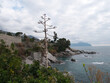 Ligurian sea. On the shores of Nervi (municipality of Genoa), Italy.