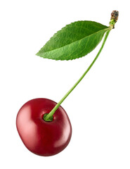 Wall Mural - Fresh ripe red cherry with green leaves